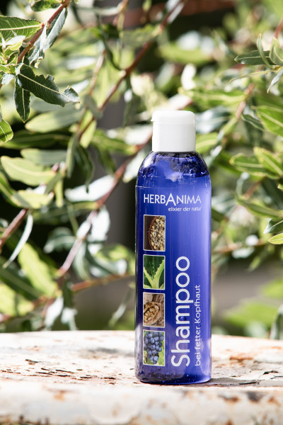 Shampoo bei fetter Kopfhaut